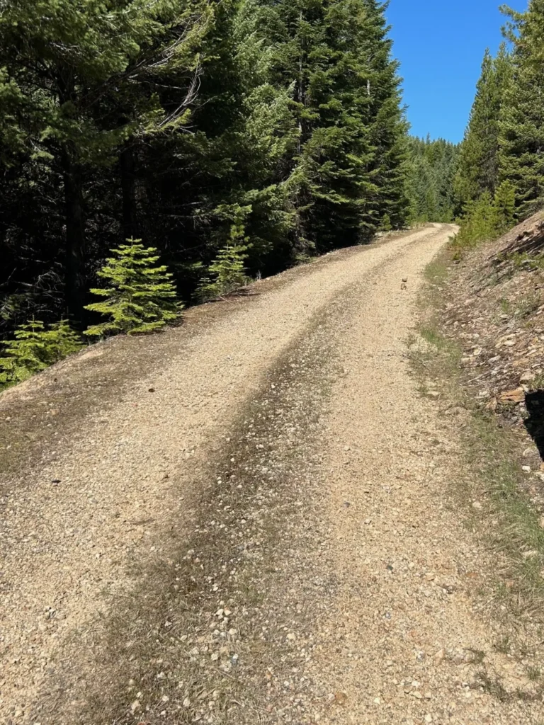 Baner - entry to property on drill road entry to property on drill road